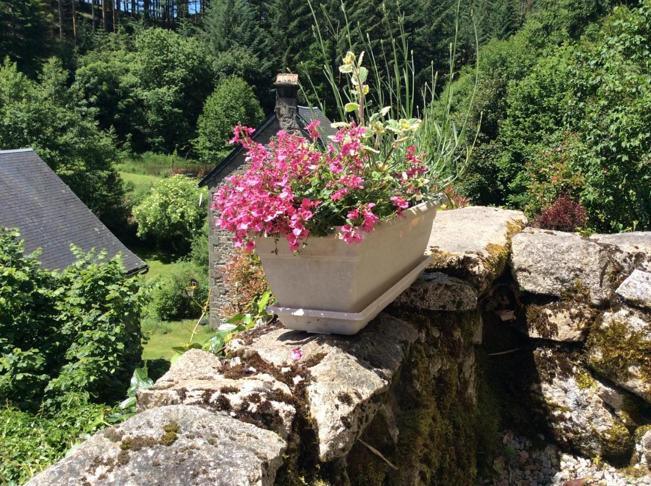 Le Moulin Des Farges Bed & Breakfast Meymac Luaran gambar